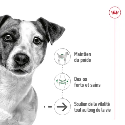 Maintien du poids, des os forts et sains, soutien de la vitalité tout au long de la vie – texte illustré à côté d’un chien. Marque avec couronne rouge en haut à droite.