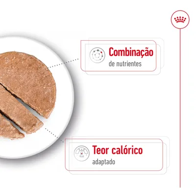 Comida húmida fatiada num prato com texto: 'Combinação de nutrientes' e 'Teor calórico adaptado'. Marca Royal Canin visível no canto superior direito.