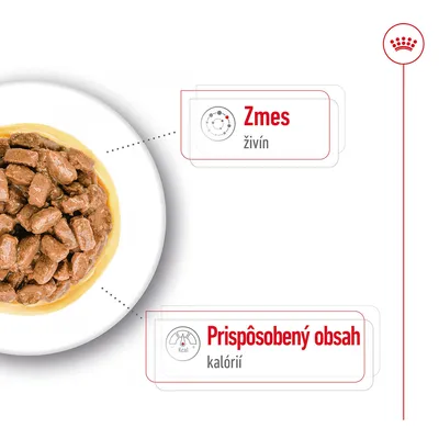 Miska s kúskami krmiva v omáčke, text: Zmes živín, Prispôsobený obsah kalórií.