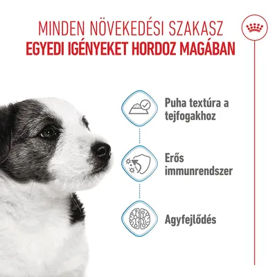 Royal Canin Mini Puppy szószban