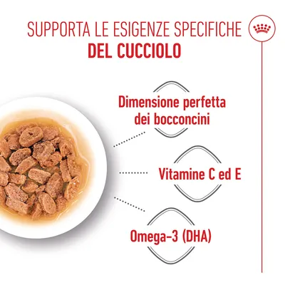 Royal Canin Mini Puppy in salsa