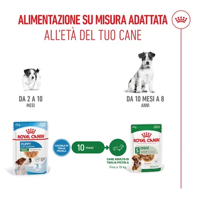 Royal Canin Mini Puppy in salsa