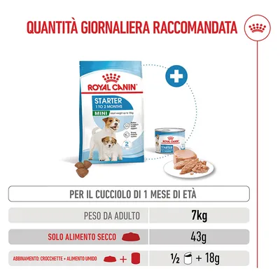 Royal Canin Mini Starter Mother & Babydog Crocchette per cane