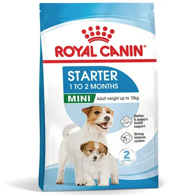 Royal Canin Mini Starter Mother & Babydog Crocchette per cane