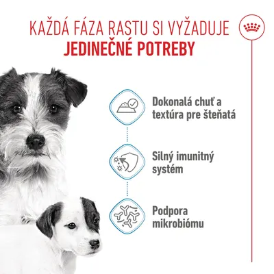 Royal Canin Starter Mother & Babydog Ultra Soft Mousse