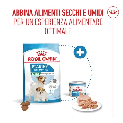 Royal Canin Starter Mousse Mother & Babydog