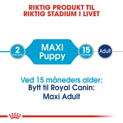 Royal Canin Maxi Puppy i saus