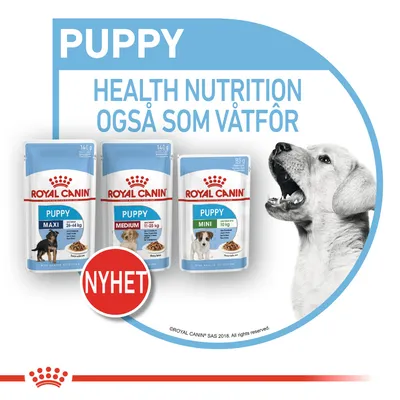 Royal Canin Medium Puppy i saus
