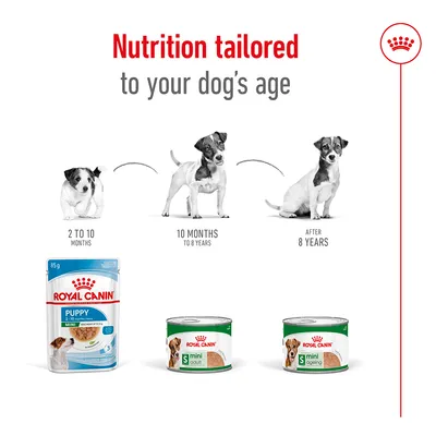 Рекомендации по кормлению Royal Canin в зависимости от возраста собаки: Puppy 2–10 месяцев, Mini Adult 10 месяцев – 8 лет, Mini Ageing от 8 лет. Текст: Питание, адаптированное к возрасту вашей собаки.