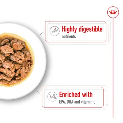 Wet food in a bowl with labels highlighting highly digestible nutrients and enrichment with EPA, DHA, and vitamin C.
