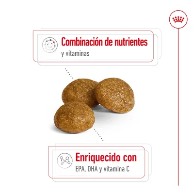 Pienso redondo con texto: Combinación de nutrientes y vitaminas. Enriquecido con EPA, DHA y vitamina C.