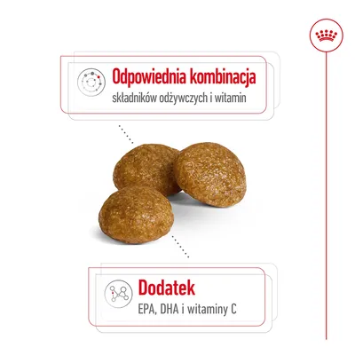 Odpowiednia kombinacja składników odżywczych i witamin. Dodatek EPA, DHA i witaminy C.