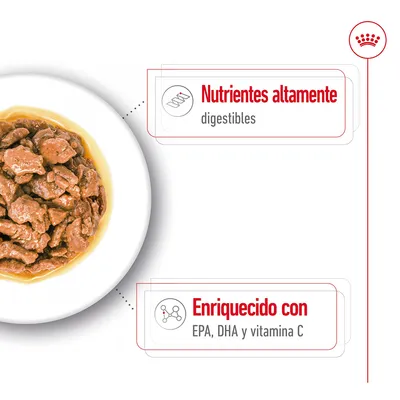 Comida húmeda en plato blanco. Texto: Nutrientes altamente digestibles. Enriquecido con EPA, DHA y vitamina C.