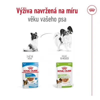 ROYAL CANIN PUPPY 2–10 měsíců a ROYAL CANIN XS adult více než 10 měsíců, výživa navržená na míru věku psa, balení 85 g