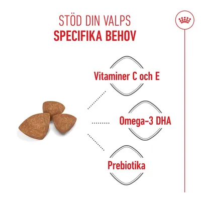 Text: Stöd din valps specifika behov. Vitaminer C och E, Omega-3 DHA, Prebiotika. Bild på tre bitar hundfoder.