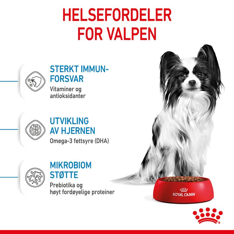 Royal Canin X-Small Puppy