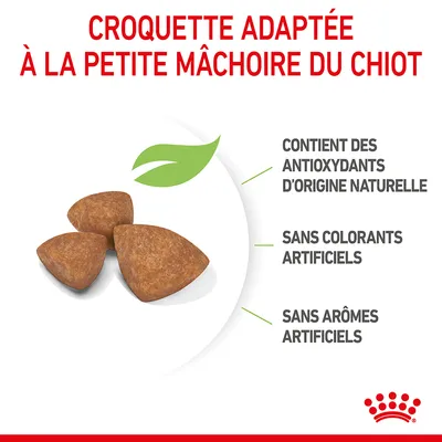 Croquette adaptée à la petite mâchoire du chiot. Contient des antioxydants d’origine naturelle, sans colorants artificiels, sans arômes artificiels.