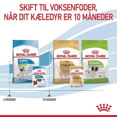 Skift til voksenfoder, når dit kæledyr er 10 måneder. Royal Canin Puppy X-Small 2–10 måneder, Adult Chihuahua og X-Small Adult vises med poser og dåser. Tidslinje: 2 og 10 måneder.