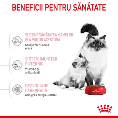 Beneficii pentru sănătate: susține sănătatea mamelor și a puilor acestora, sistem imunitar puternic, dezvoltare cerebrală. Royal Canin. Soluție nutrițională unică, vitamine, antioxidanți, DHA.