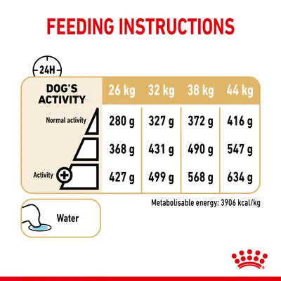 Feeding guide showing daily amounts in grams for 26kg, 32kg, 38kg, and 44kg dogs by activity level. Includes water reminder and metabolisable energy: 3906 kcal per kg.