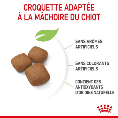 Croquette adaptée à la mâchoire du chiot, sans arômes artificiels, sans colorants artificiels, contient des antioxydants d’origine naturelle. Trois croquettes visibles.