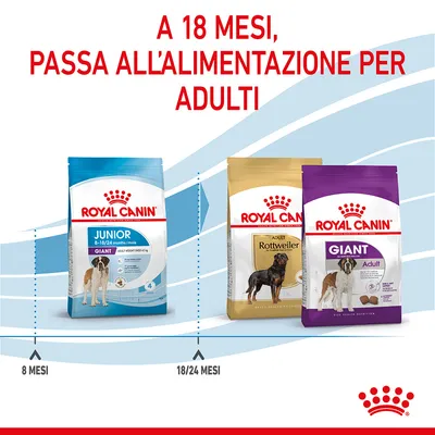 A 18 mesi, passa all'alimentazione per adulti. Sacchi Royal Canin Junior 8–18/24 mesi, Adult Rottweiler e Giant Adult. Indicazioni: 8 mesi, 18/24 mesi.