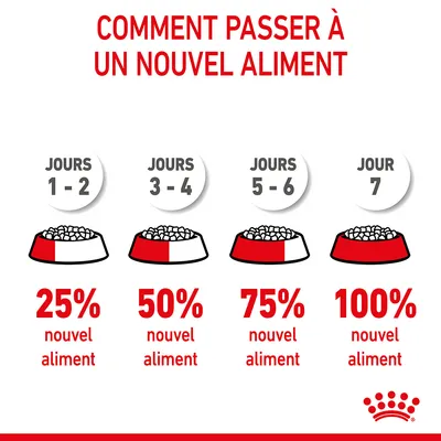 Comment passer à un nouvel aliment : jours 1–2, 25 % nouvel aliment ; jours 3–4, 50 % ; jours 5–6, 75 % ; jour 7, 100 %. Schéma de transition alimentaire.