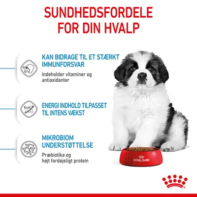 Sundhedsfordele for din hvalp: Kan bidrage til et stærkt immunforsvar, energi indhold tilpasset til intens vækst, mikrobiom understøttelse. Royal Canin skål foran hvalp.
