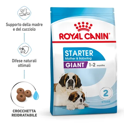 Royal Canin Starter Mother & Babydog Giant 1-2 months, supporto della madre e del cucciolo, difese naturali ottimali, crocchetta reidratabile, confezione con due cani.