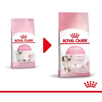To poser Royal Canin Kitten tørfoder med synlig tekst: 'Second Age Kitten' og 'Kitten Up to 12 months Jusqu'à 12 mois', begge med billede af en kattekilling på forsiden.