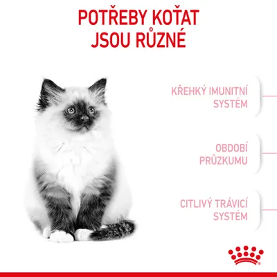 Potřeby koťat jsou různé: křehký imunitní systém, období průzkumu, citlivý trávicí systém. Obrázek kotěte. Značka Royal Canin.