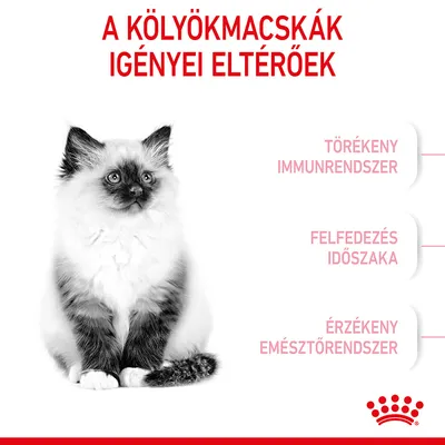 A kölyökmacskák igényei eltérőek. Törékeny immunrendszer, felfedezés időszaka, érzékeny emésztőrendszer. Royal Canin márkajelzés látható.