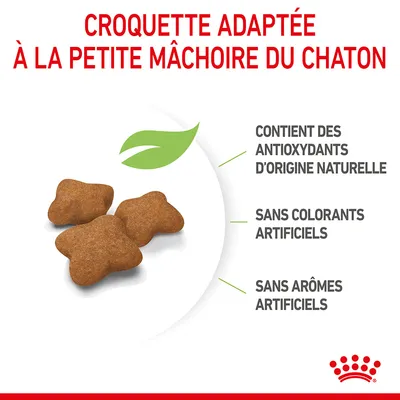 Croquette adaptée à la petite mâchoire du chaton, contient des antioxydants d’origine naturelle, sans colorants artificiels, sans arômes artificiels. Trois croquettes visibles.