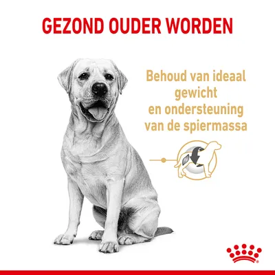 Gezond ouder worden. Behoud van ideaal gewicht en ondersteuning van de spiermassa.