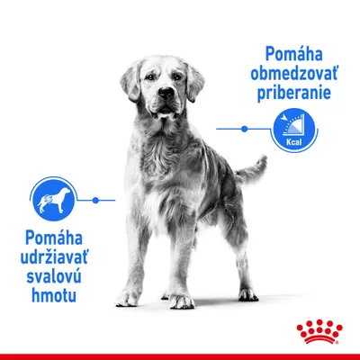 Pes s textom: Pomáha udržiavať svalovú hmotu, Pomáha obmedzovať priberanie. Ikony psa a kalórií. Logo Royal Canin v pravom dolnom rohu.