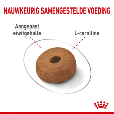 Nauwkeurig samengestelde voeding, aangepast eiwitgehalte, L-carnitine. Afbeelding van een brok met merk Royal Canin kroon zichtbaar.