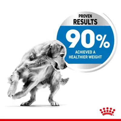 Proven results: 90% achieved a healthier weight.