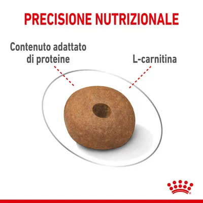 Precisione nutrizionale. Contenuto adattato di proteine, L-carnitina. Crocchetta con foro centrale mostrata al centro dell'immagine. Marchio Royal Canin visibile in basso a destra.