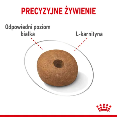 Precyzyjne żywienie. Odpowiedni poziom białka, L-karnityna. Przedstawiono pojedynczy granulat karmy z otworem pośrodku.