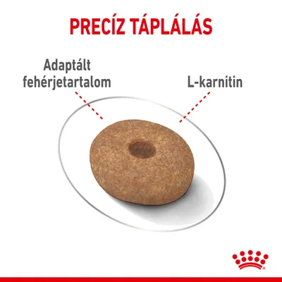 Precíz táplálás. Adaptált fehérjetartalom, L-karnitin. Egy szem barna színű táp, Royal Canin márkajelzés az alsó sarokban.