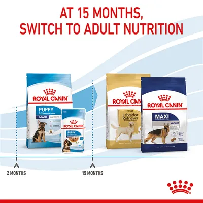 Feeding guide showing to switch from Royal Canin Puppy food at 2-15 months to Royal Canin Adult nutrition at 15 months. Product packs for both age groups are displayed.