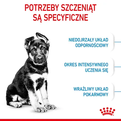 Potrzeby szczeniąt są specyficzne: niedojrzały układ odpornościowy, okres intensywnego uczenia się, wrażliwy układ pokarmowy. Royal Canin.