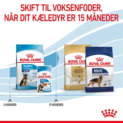 Royal Canin Puppy MAXI 2–15 måneder og Royal Canin Adult Labrador Retriever samt MAXI Adult. Tekst: Skift til voksenfoder, når dit kæledyr er 15 måneder. 2 måneder, 15 måneder.