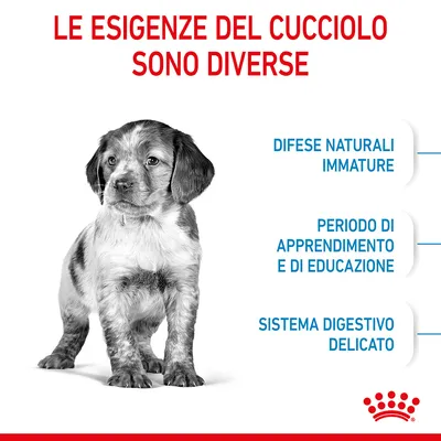 Le esigenze del cucciolo sono diverse: difese naturali immature, periodo di apprendimento e di educazione, sistema digestivo delicato. Marchio Royal Canin visibile.