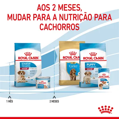Aos 2 meses, mudar para a nutrição para cachorros. Produtos Royal Canin Starter para 1 mês e Puppy/Cocker para 2–12 meses visíveis nas embalagens.