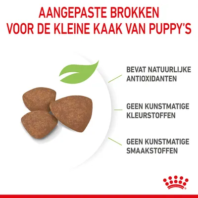 Aangepaste brokken voor de kleine kaak van puppy’s, bevat natuurlijke antioxidanten, geen kunstmatige kleurstoffen, geen kunstmatige smaakstoffen. Drie brokken en een groen blad zichtbaar.