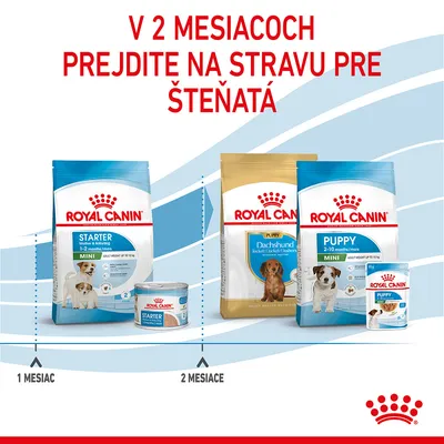 V 2 mesiacoch prejdite na stravu pre šteňatá. Royal Canin Starter 1–2 mesiace, Puppy Dachshund a Mini Puppy 2–10 mesiacov. Ilustrácia balení a konzerv krmiva.