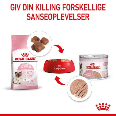 Royal Canin Mother & Babycat tørfoder og vådfoder til killinger 1–4 måneder, vist med foderpiller, skiver af paté og rød foderskål. Tekst: Giv din killing forskellige sanseoplevelser.