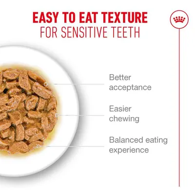 Royal Canin Ageing 15+ Chunks in Gravy