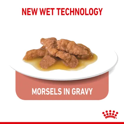 New wet technology. Morsels in gravy shown on a plate.